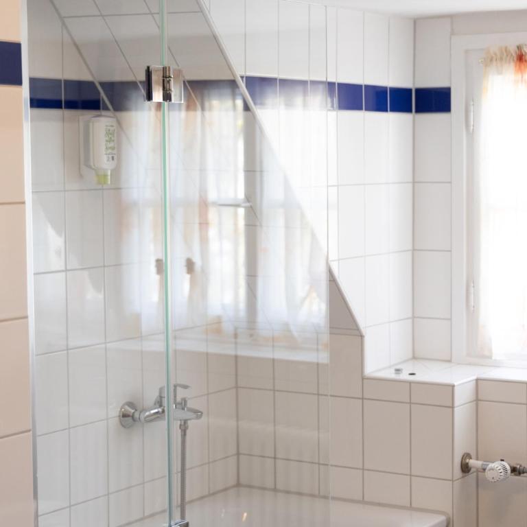 Gästehaus Englischer Garten - Standard Doppelzimmer - 14