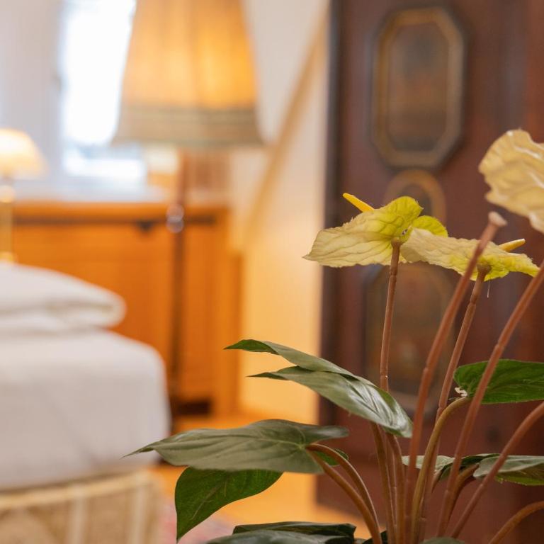Gästehaus Englischer Garten - Standard Familienzimmer - 12