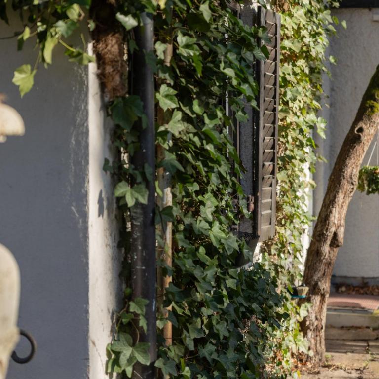 Gästehaus Englischer Garten - Economy Doppel- oder Zweibettzimmer mit Gemeinschaftsbad - 14