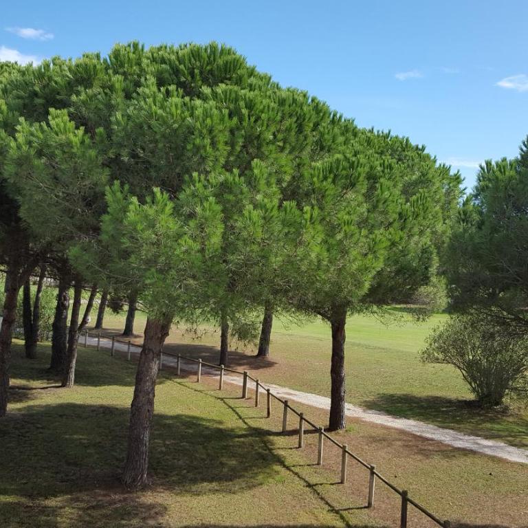 VERT Paradis ST CYPRIEN GOLF CLAIR 3 étoiles, 80 m2 avec Terrasse Pergola, Vue apaisante sur Pins parasols, 2è étage, 2 chambres, 3 CLIM, WIFI - Piscine, Parking et Park à vélos, Ascenseur - en Option Linge, Ménage - Pistes cyclables, Mer à proximité - Two-Bedroom Apartment - 1