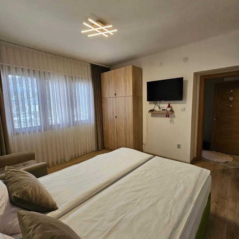 DIVNA Sarajevo Apartments - Apartman sa 1 Spavaćom Sobom - 7