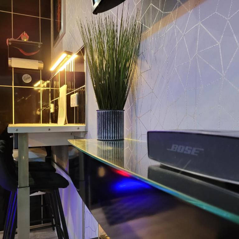 Secret Love Jacuzzi ou Midnight Spa - Superior Studio - 3