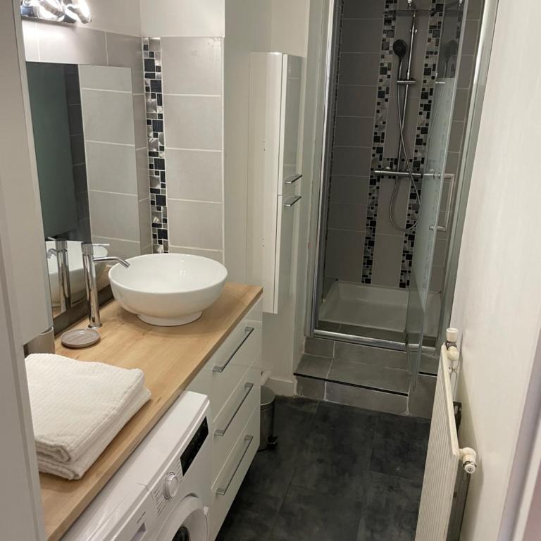 Charmant appartement Orléans ! - Apartamento de 1 dormitorio - 10