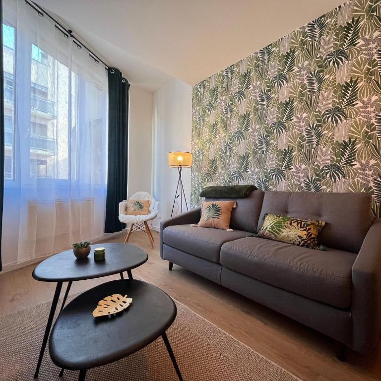 Magnifique T2 - proche hyper centre - Appartement 1 Chambre - 1
