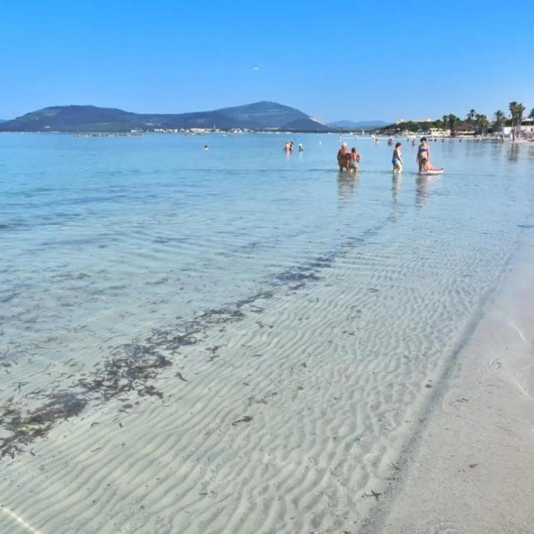 La Colònial Beach - Appartamento con 1 Camera da Letto - 36