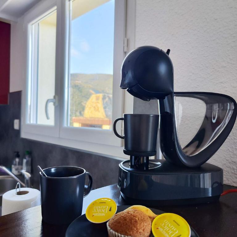 Appartement avec terrasse et belle vue sur Palalda - Appartement 1 Chambre - 15