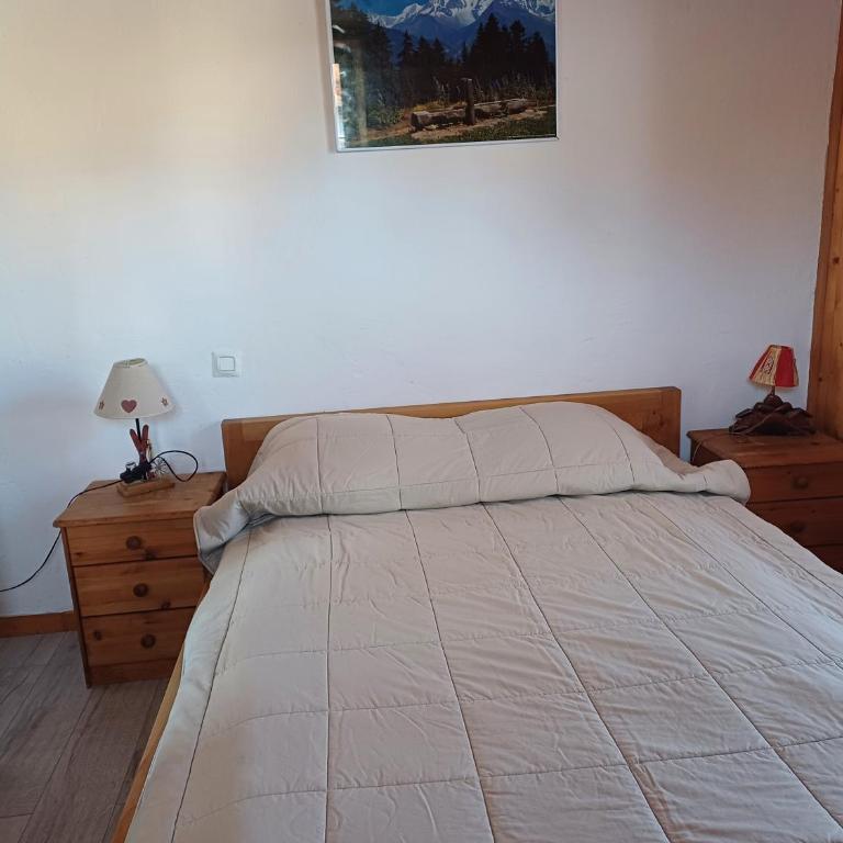 chalet Mont-Blanc - Appartement 2 Chambres - 9