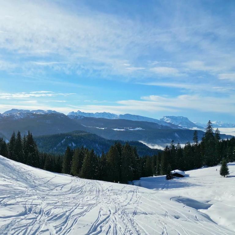 Chalet am Wetterkreuz - Luxus mit Sauna & Whirlpool in Reit im Winkl - Doppelzimmer mit Parkblick - 72