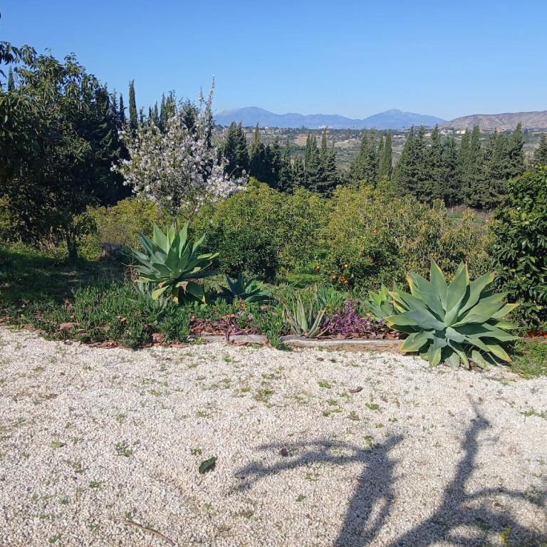 Finca Vista El Montanes - Villa con piscina privada - 81