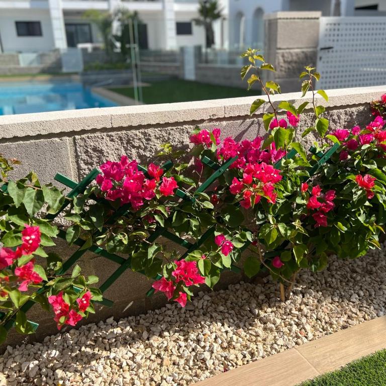 Casa La Mariposa, luxury & cosy apartment with pool view, 5p, Ciudad Quesada - Appartement 2 Chambres - 26