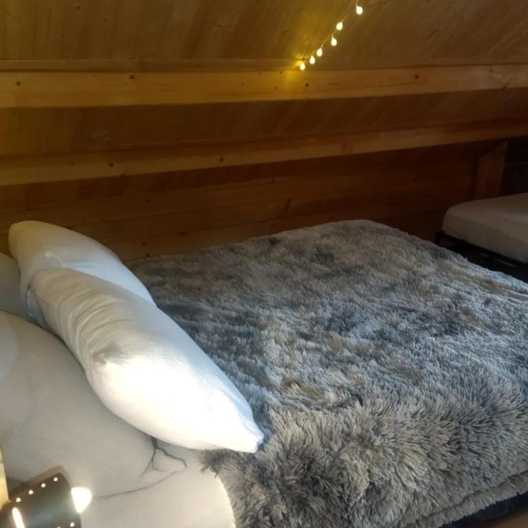 L'ânon d'Andon - Chalet 1 Chambre - 7
