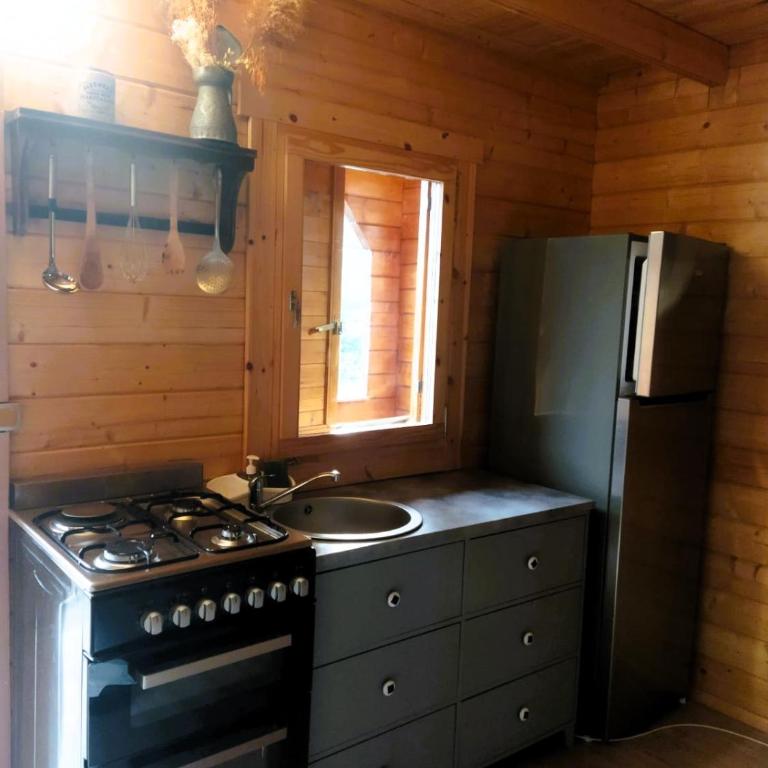 L'ânon d'Andon - Chalet 1 Chambre - 10