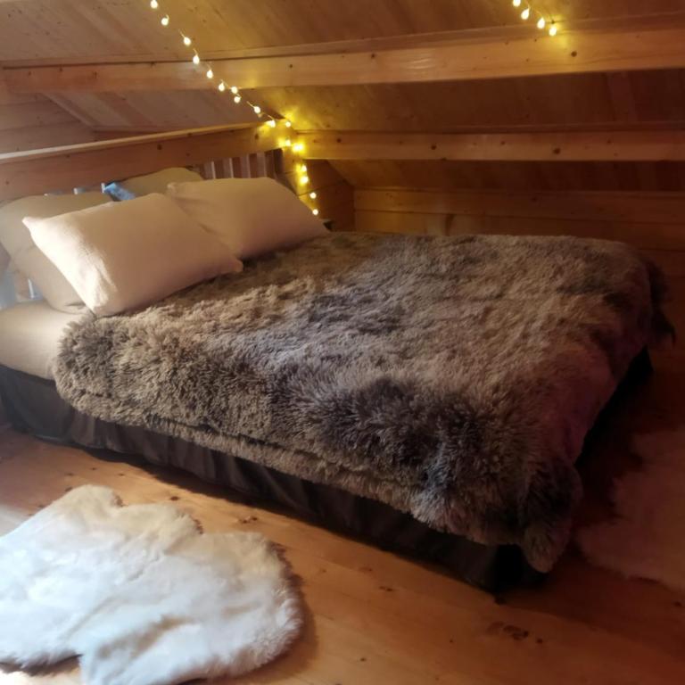 L'ânon d'Andon - Chalet 1 Chambre - 6