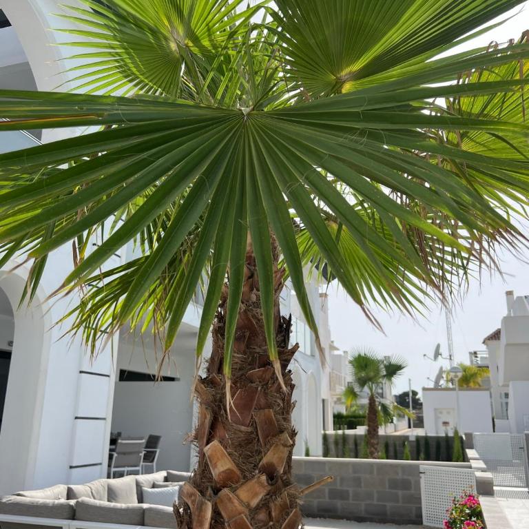 Casa La Mariposa, luxury & cosy apartment with pool view, 5p, Ciudad Quesada - Appartement 2 Chambres - 15