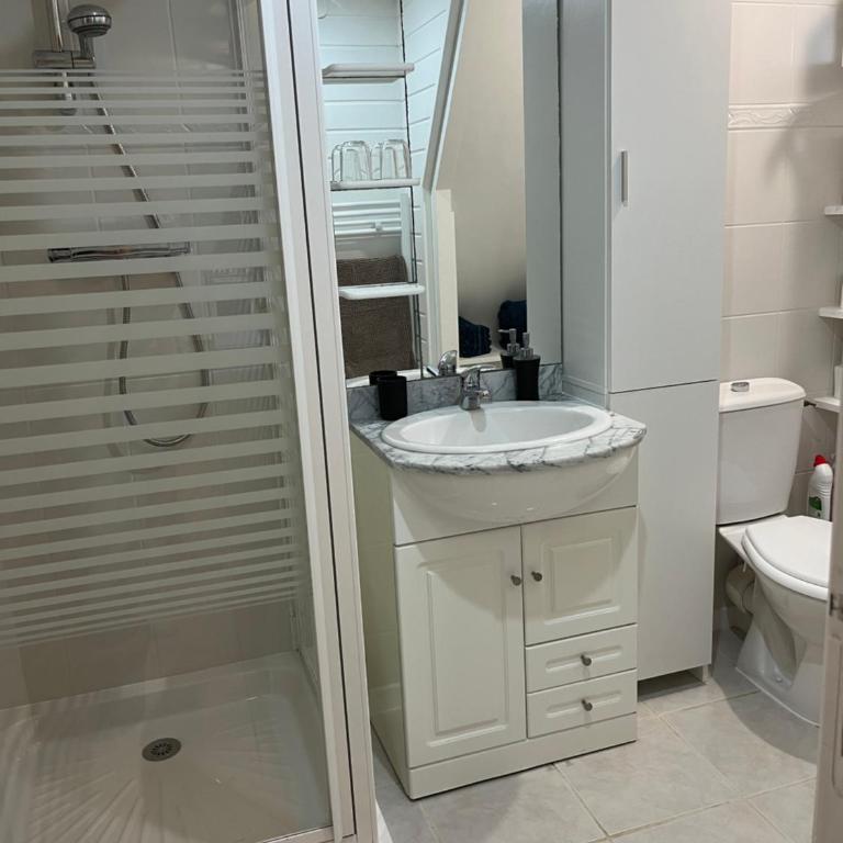 Logement ICARE 5km de Crolles, Soitec , ST - Appartement 1 Chambre - 8