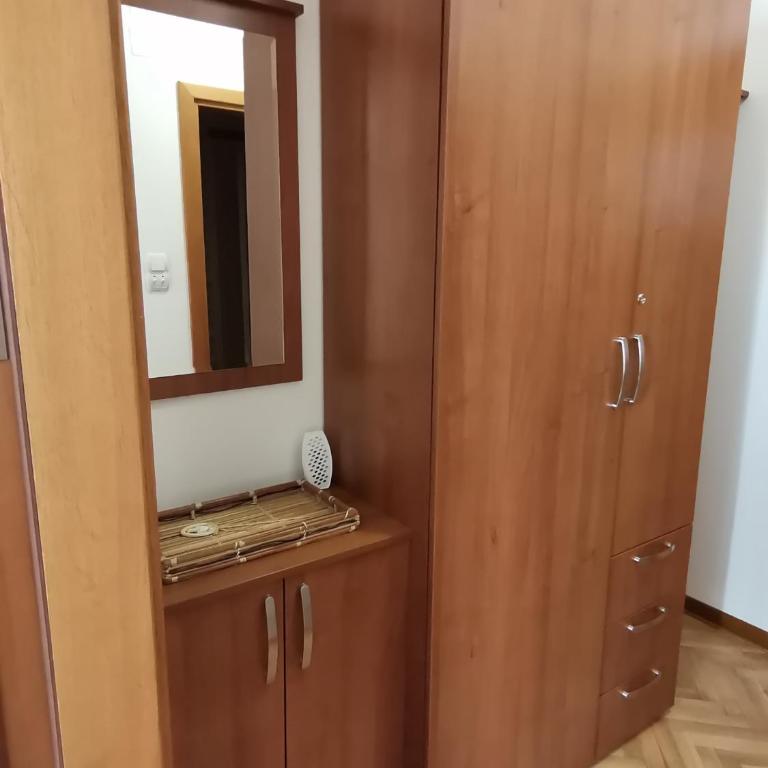 B&P apartman Vrnjačka Banja - Apartman sa 1 Spavaćom Sobom - 3