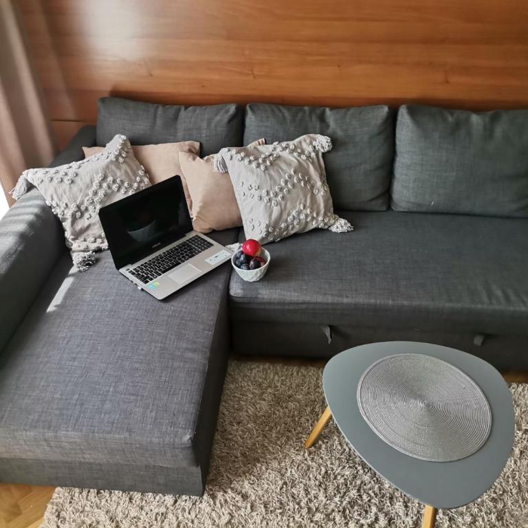 B&P apartman Vrnjačka Banja - Apartman sa 1 Spavaćom Sobom - 4