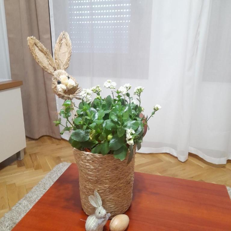 B&P apartman Vrnjačka Banja - Apartman sa 1 Spavaćom Sobom - 5