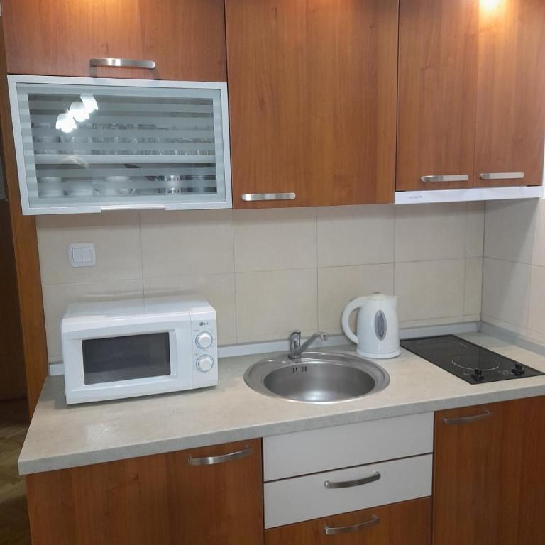 B&P apartman Vrnjačka Banja - Apartman sa 1 Spavaćom Sobom - 10