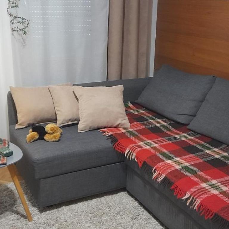 B&P apartman Vrnjačka Banja - Apartman sa 1 Spavaćom Sobom - 11