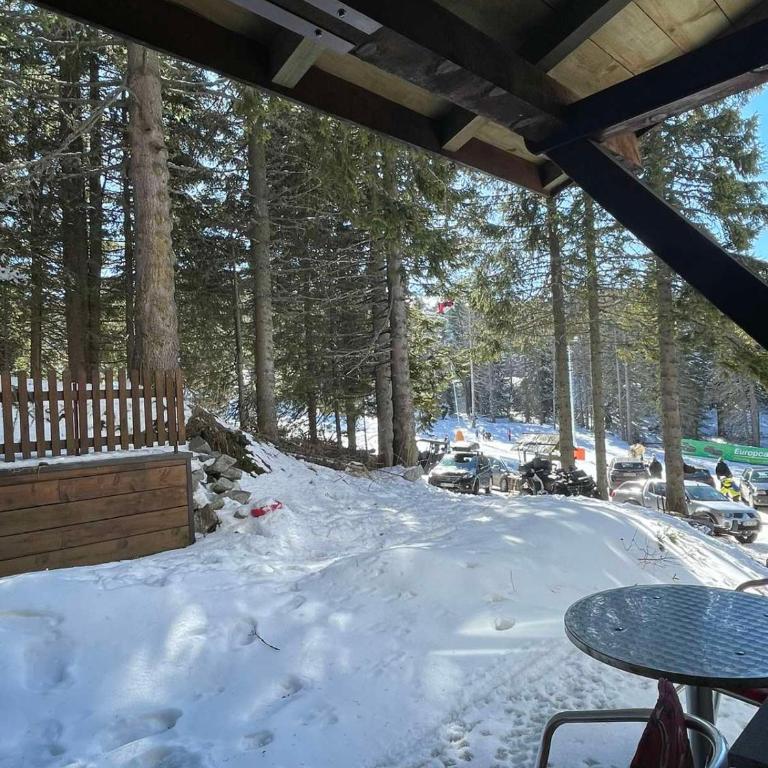 Apartman sa terasom Vila Mina Kopaonik - Apartment - 11