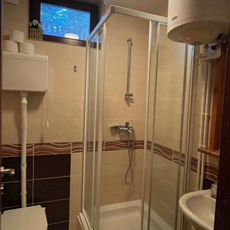 Apartman sa terasom Vila Mina Kopaonik - Apartment - 10
