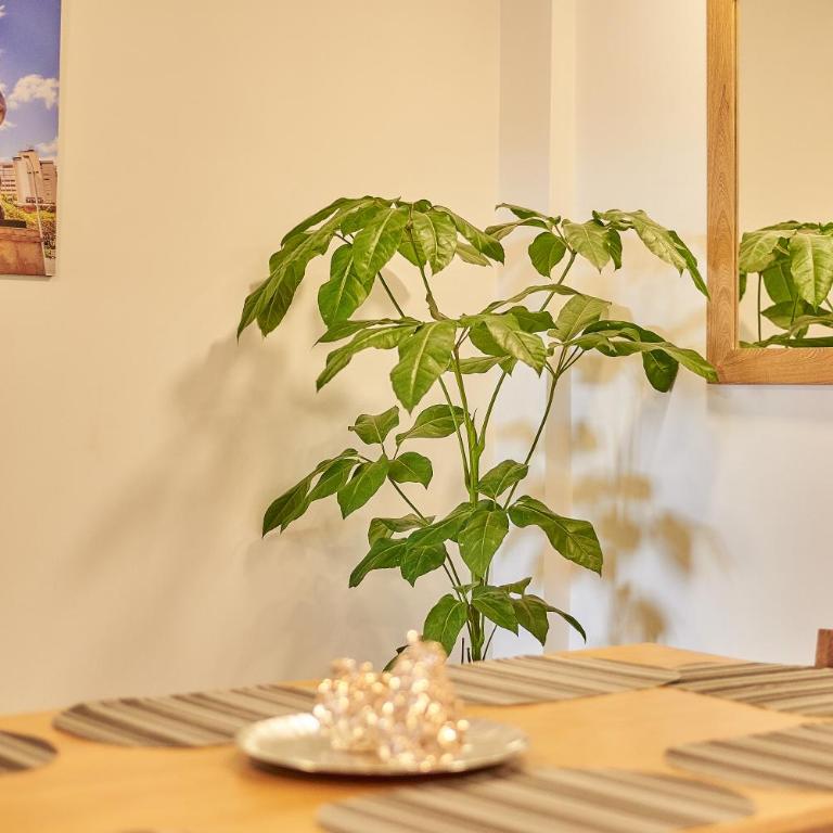 5STARHOMES - Comodidad y encanto en Laureles - Apartamento - 7