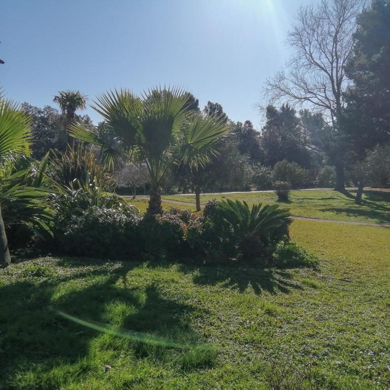 One-Bedroom Apartment in the Center of Budva on a Quiet Street 5 Minutes to the Beach - Apartman sa 1 Spavaćom Sobom - 29