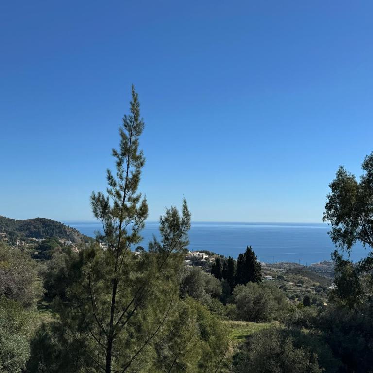 Casa Olene - 400 year old Mill in Mijas Pueblo - Three-Bedroom Villa - 20