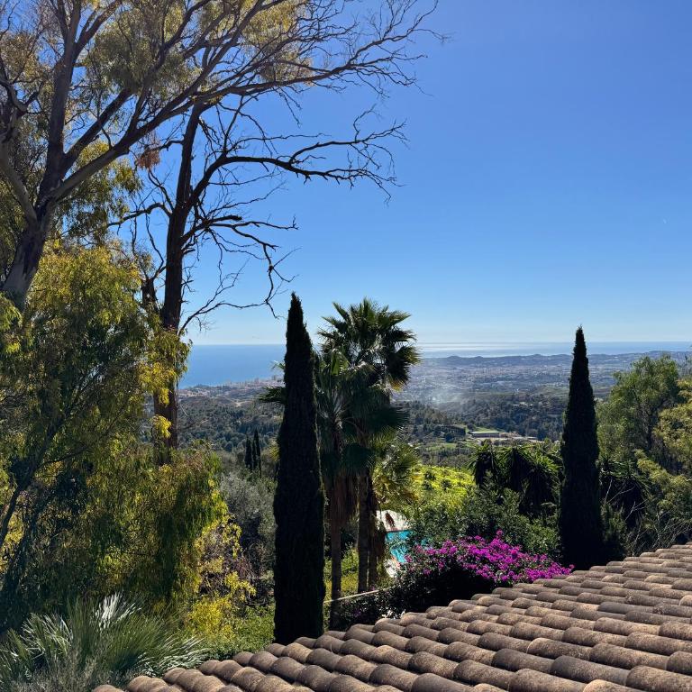 Casa Olene - 400 year old Mill in Mijas Pueblo - Three-Bedroom Villa - 38