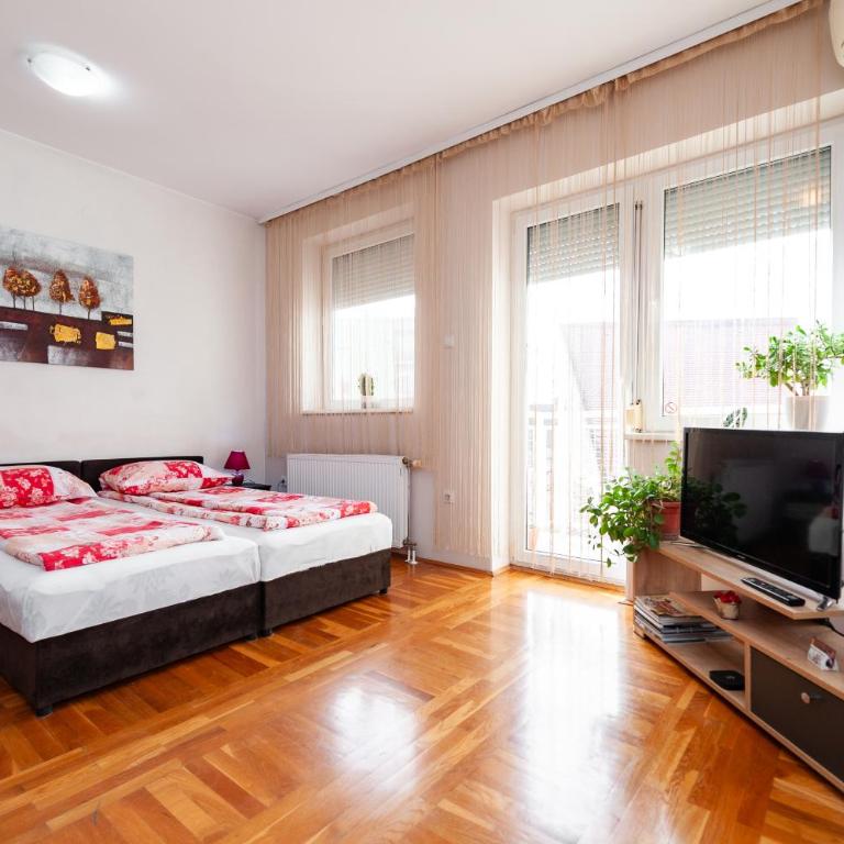 Momo's studio apartment Subotica - Studio Apartment - 1