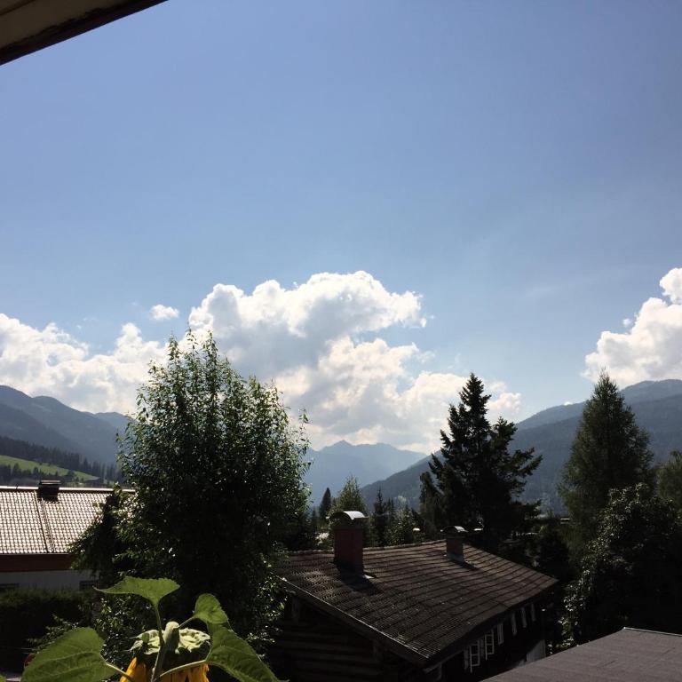 Apartments Radstadt - Apartamento de 1 dormitorio con balcón - 14