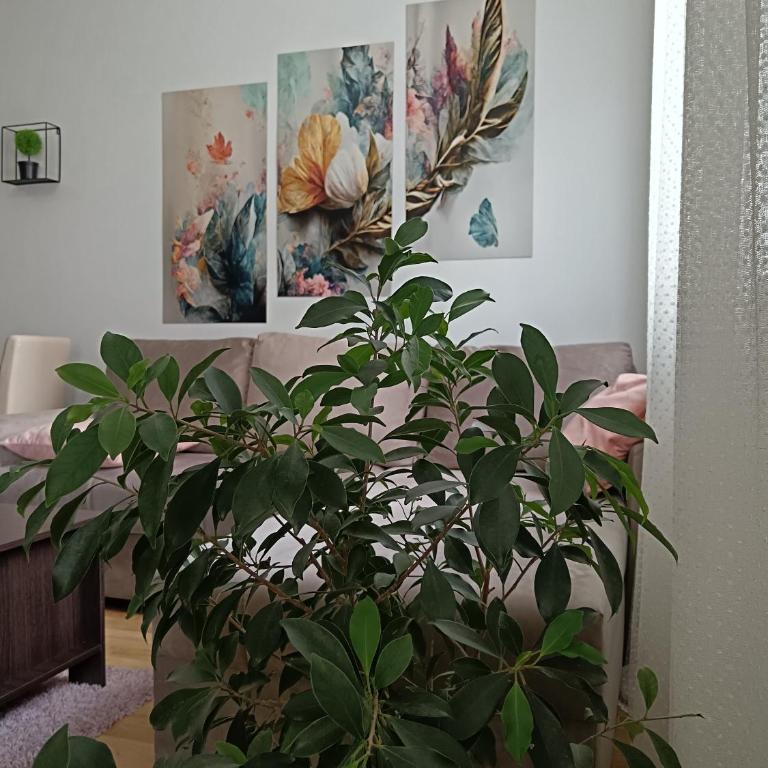 Alacaster G apartman - Apartman sa 1 Spavaćom Sobom - 13