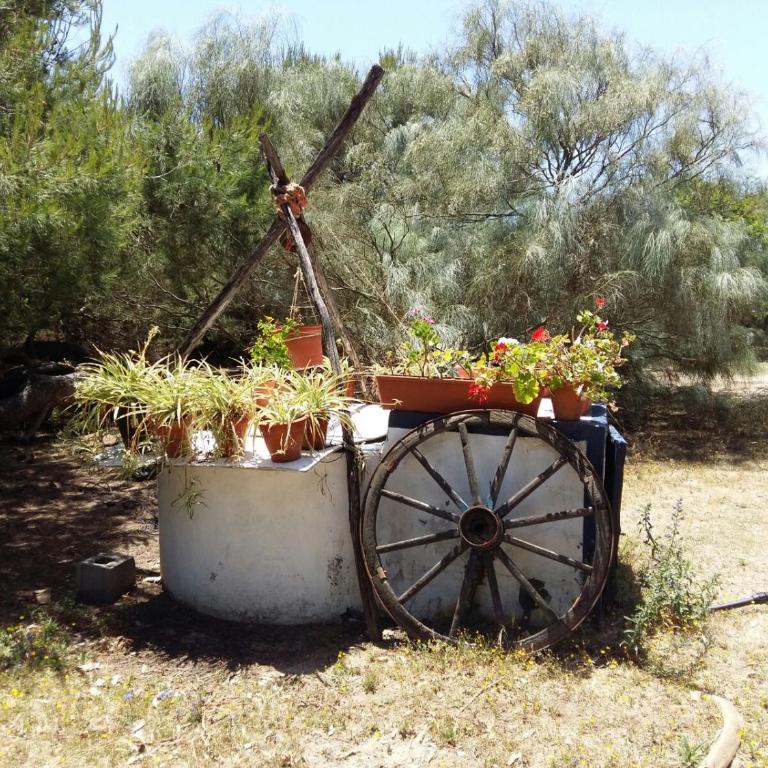 En Finca Las Dunas dos Chalets con jacuzzis en primera linea de playa , uno de 4 dormitorios y otro de 2 dormitorios, Llama al Seiscientos veintisiete Cuatrocientos diecisiete Trescientos noventa y ocho - Bungalow frente a la playa - 21