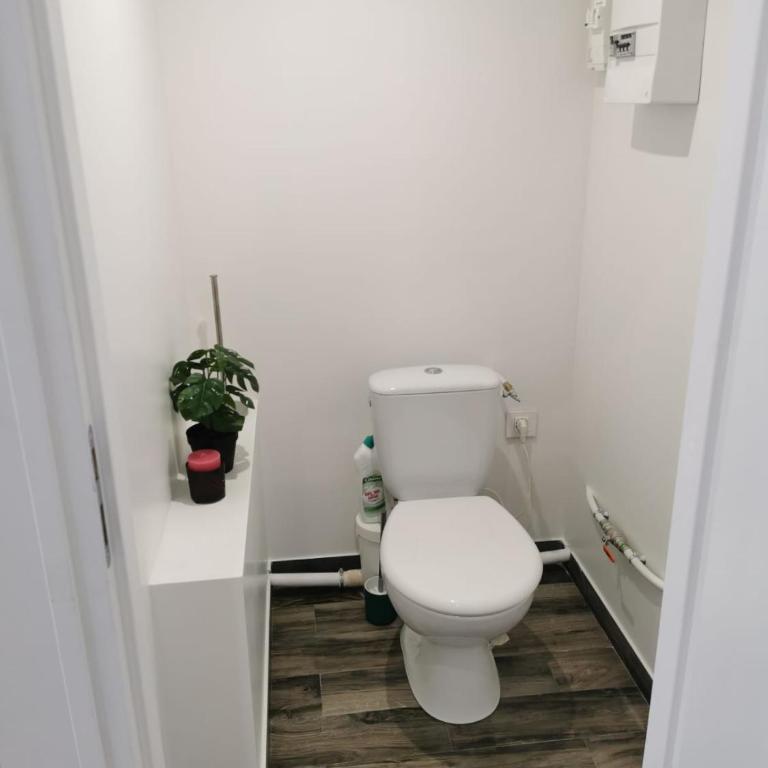 Le comptoir des grenouilles - Apartment mit 1 Schlafzimmer - 3