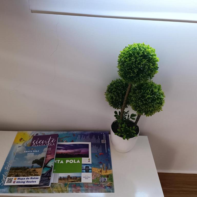 Apartamento Caravaca - Apartamento con terraza - 54