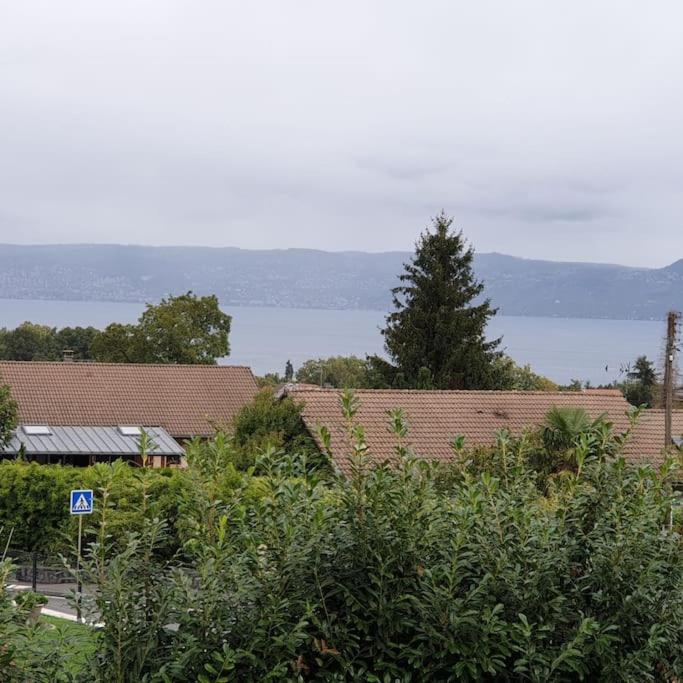 Studio cosy proche Evian - Appartement 1 Chambre - 9