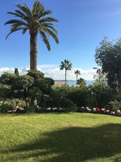 SUPER CANNES FRONT DE MER LUXUEUX VUE UNIQUE - Appartement 2 Chambres - 29