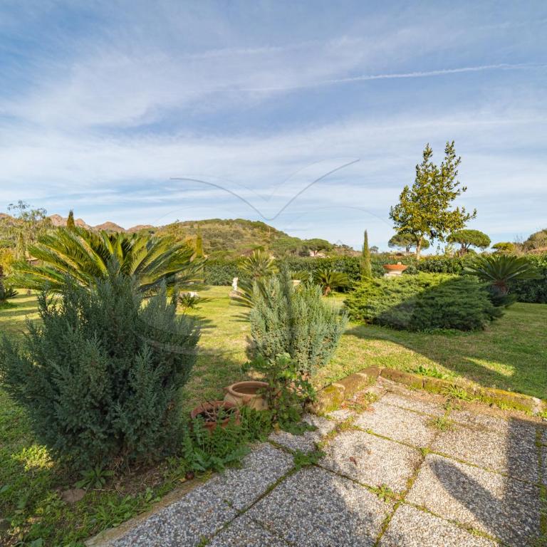 Villino Girasole - Goelba - Villa con 2 Camere da Letto - 3
