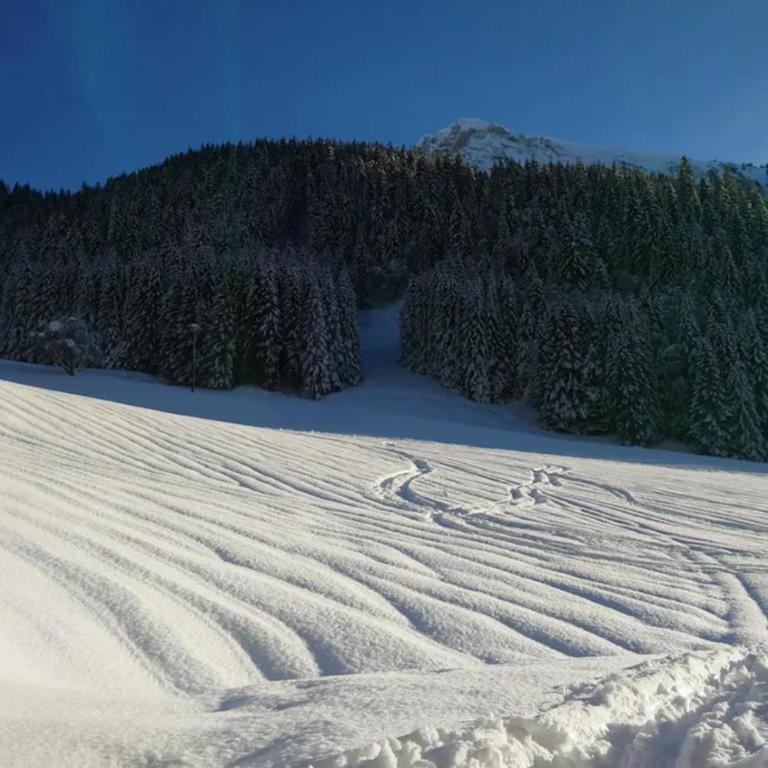 9-Bed Chalet with Easy Access to Avoriaz 1800 - Chalet Supérieur - 15