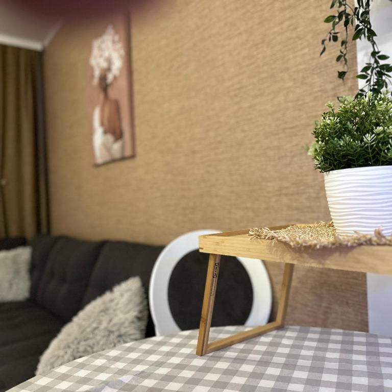 Apartman 1001 noć Zlatibor- primamo vaučere ! - Apartman sa 1 Spavaćom Sobom - 46