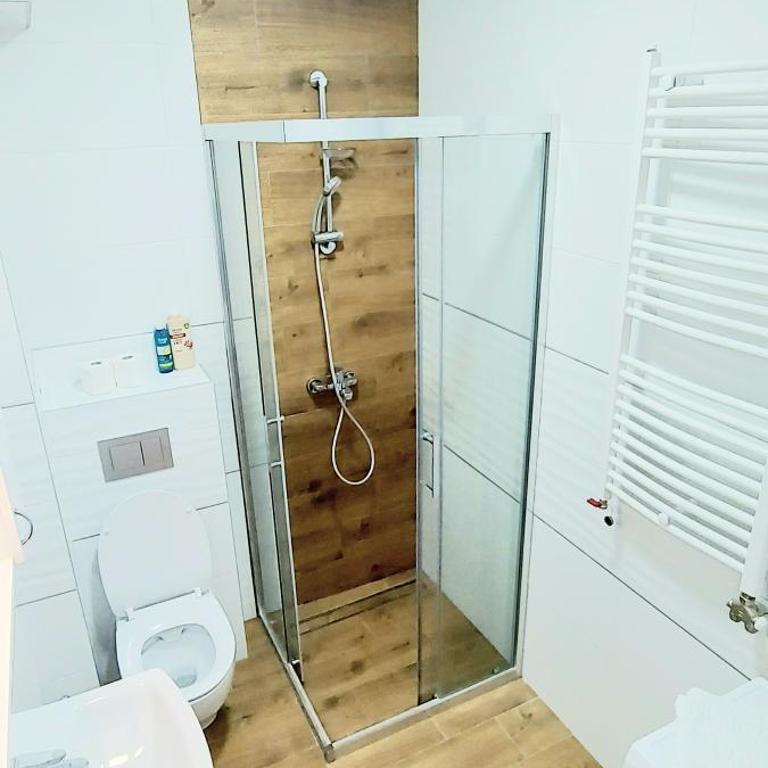 Magenta Zvezdara - Apartman sa 1 Spavaćom Sobom - 13