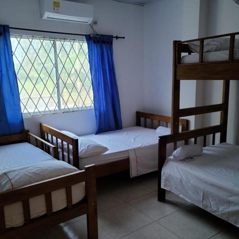 Olamar Hostal - Habitación Familiar - 2