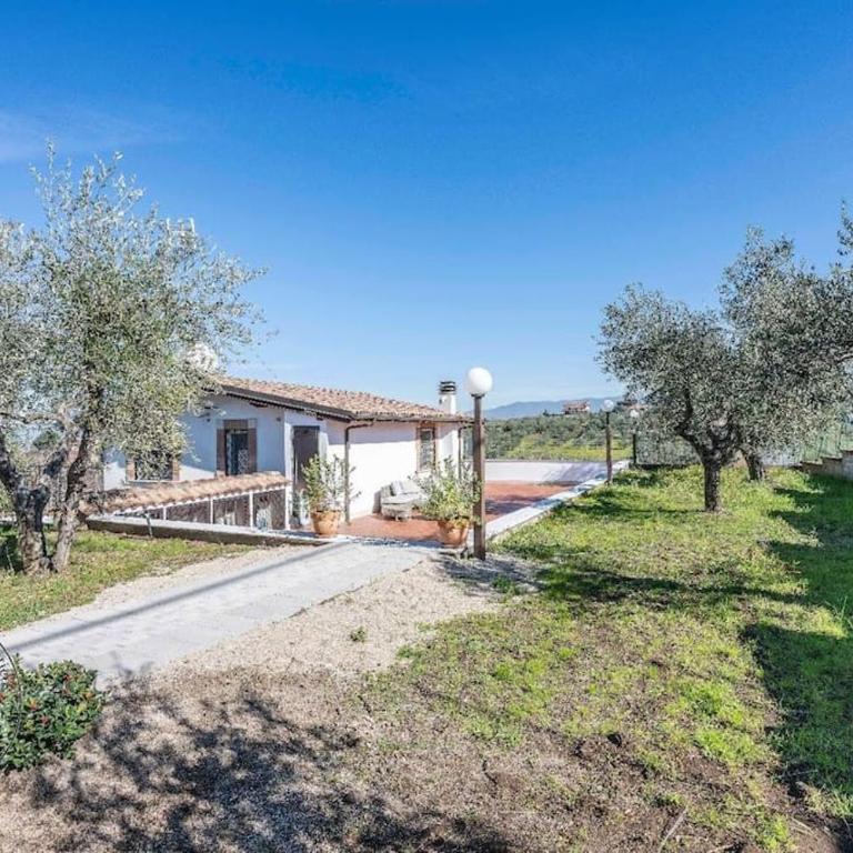 Oliveto Relax Alloggio Turistico - Appartement 2 Chambres - 23