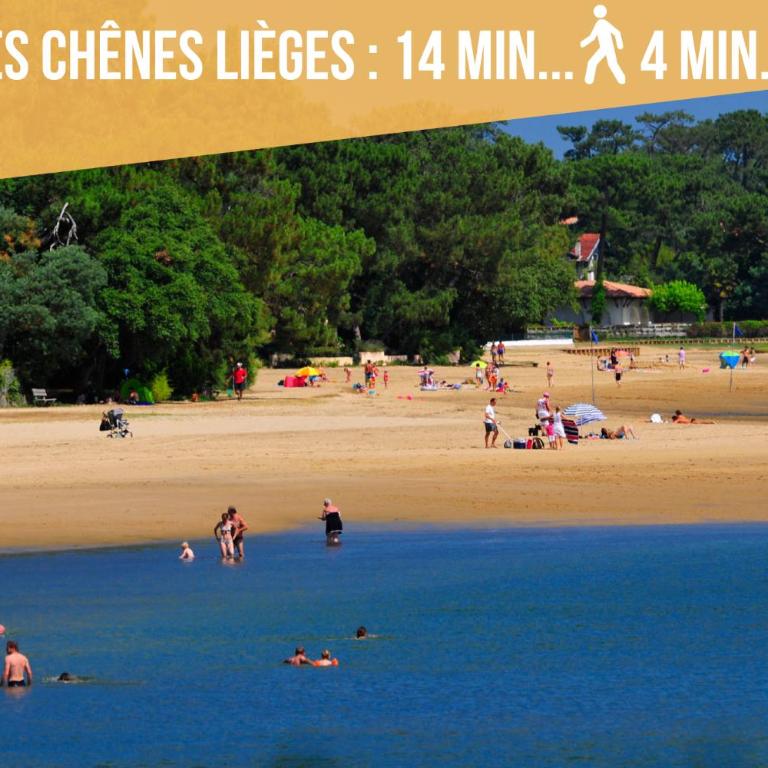 * Hossegor * Climatisé * Plage * Surf * Couple - Appartement 1 Chambre - 26