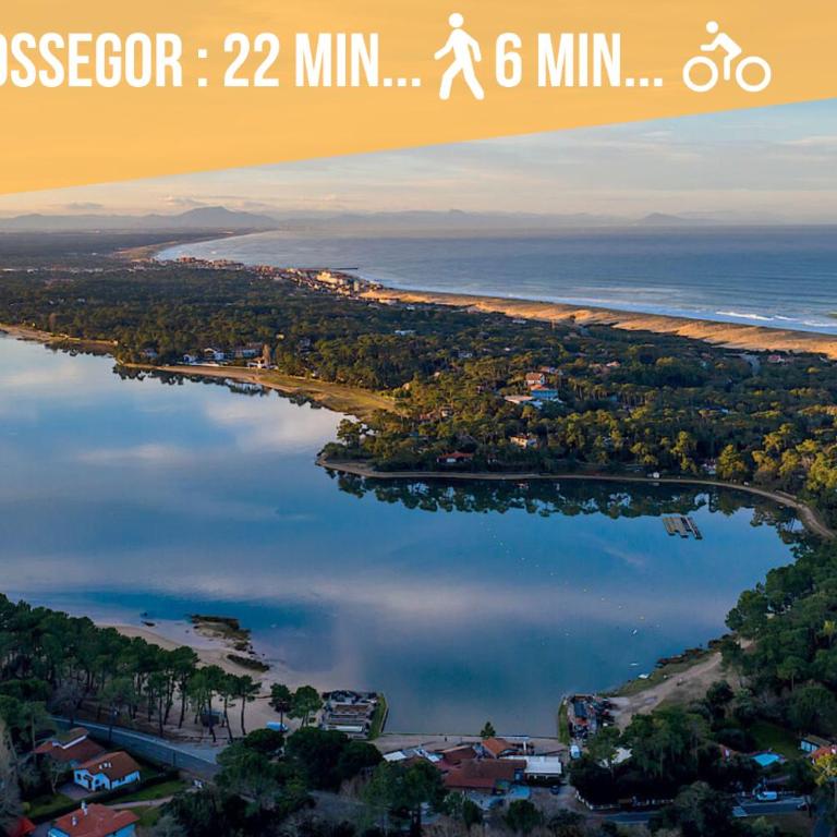 * Hossegor * Climatisé * Plage * Surf * Couple - Appartement 1 Chambre - 29