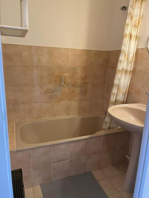 Studio cabine climatisé - Appartement 1 Chambre - Vue sur Jardin - 2