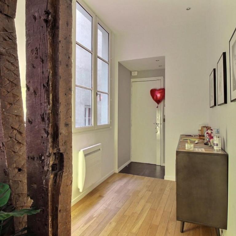 APPARTEMENT PARIS - LOUVRE & RIVOLI - Appartement 1 Chambre - 16
