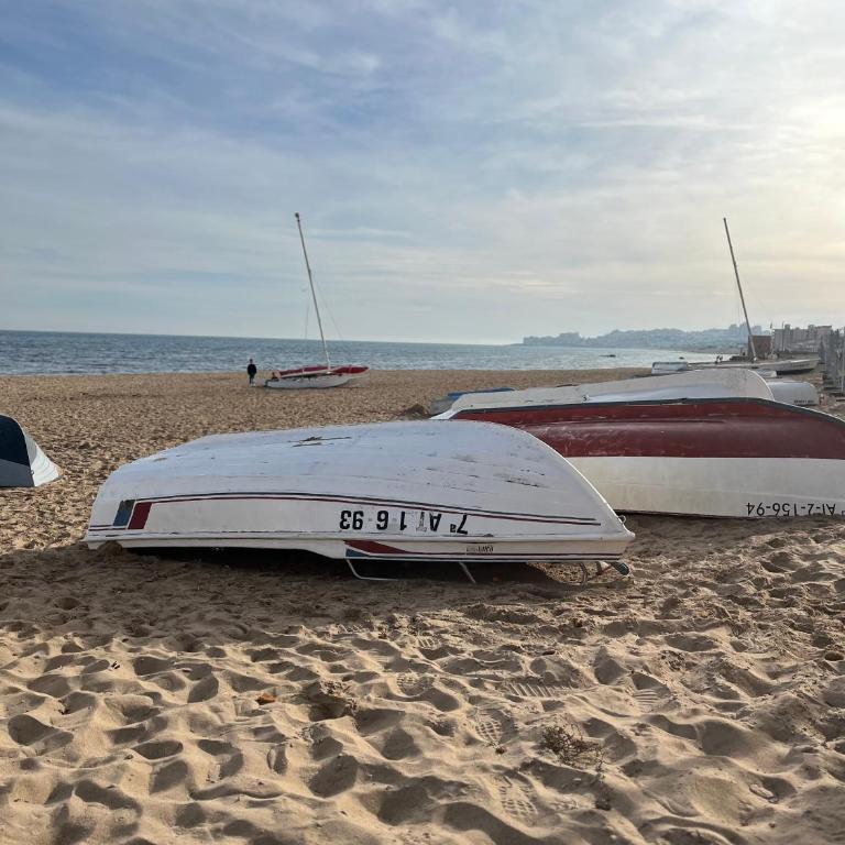 Sol de mar, La Mata (Hiszpania) - Apartamento de 2 dormitorios - 49