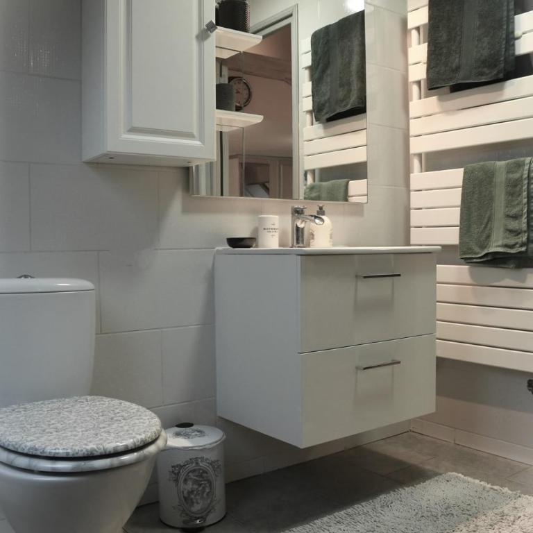DUPLEX SPACIEUX TOUT CONFORT - Appartement 1 Chambre - 3